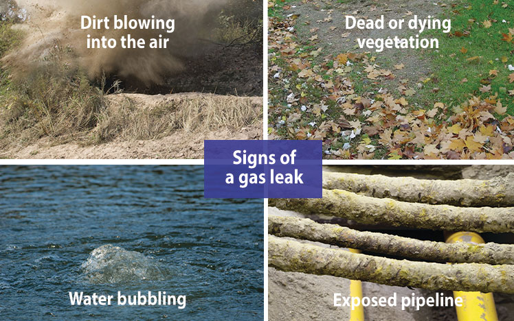 Signs of a Gas Leak